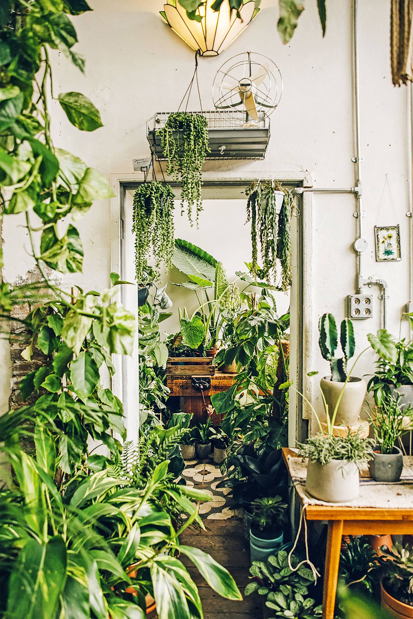 15 Beautiful Plant Filled Interiors From Around The World CN Traveller