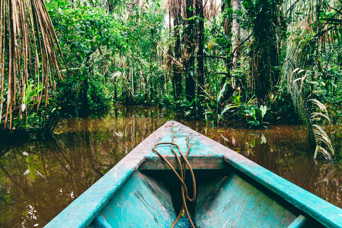 Visiting Brazil's Amazon rainforest CN Traveller