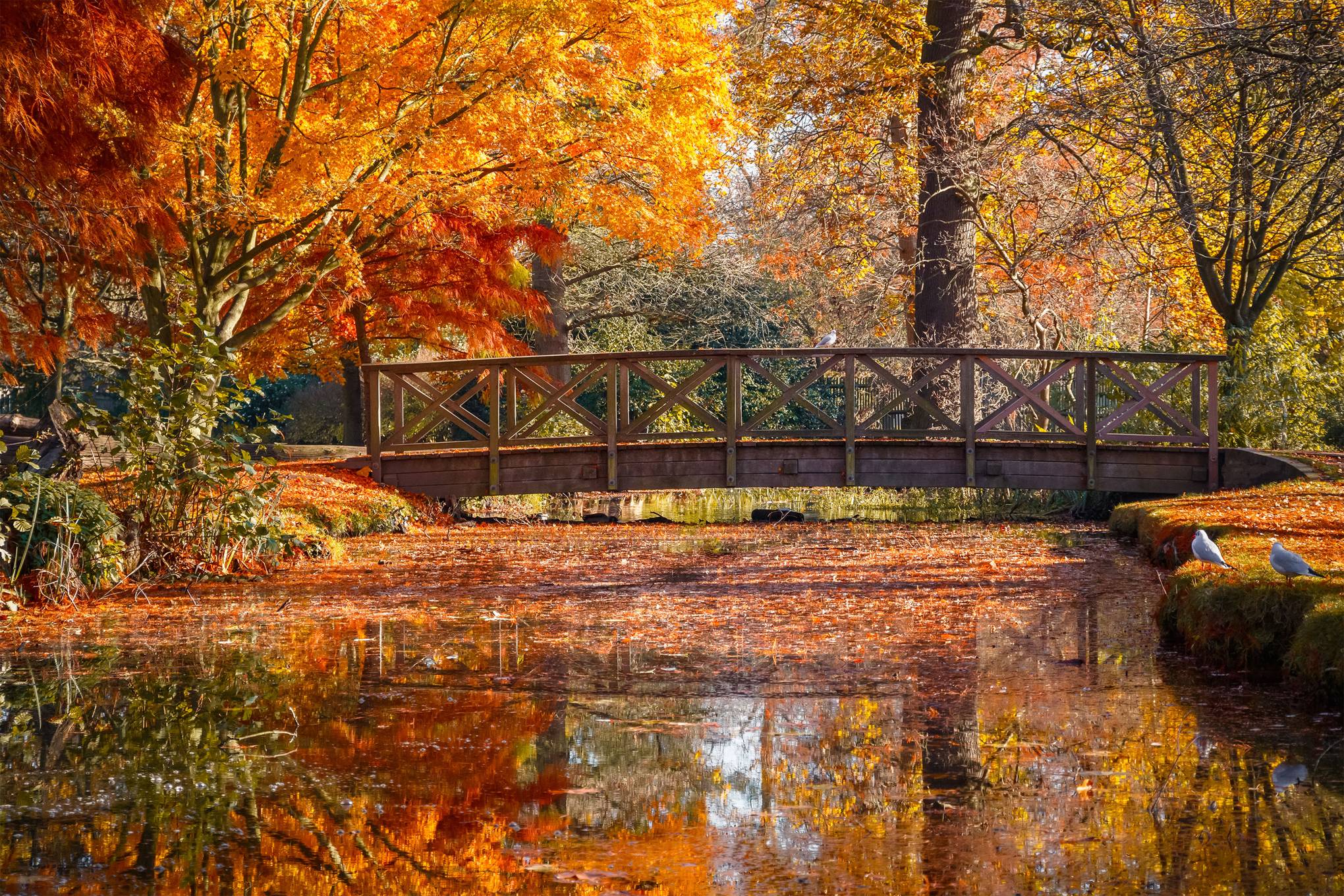 places to visit in uk during autumn