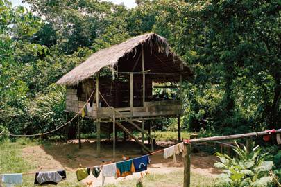 Journey Into The Amazon Tourism In The Amazon Rainforest Ecuador Cn Traveller