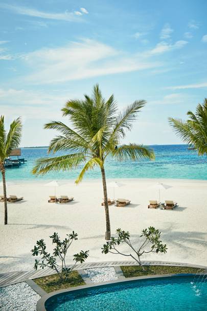 Tropical Beach You Choose the Sheet Creative Memories