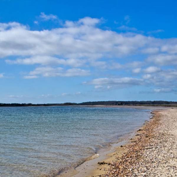 The Hamptons: where to stay and what to do | CN Traveller