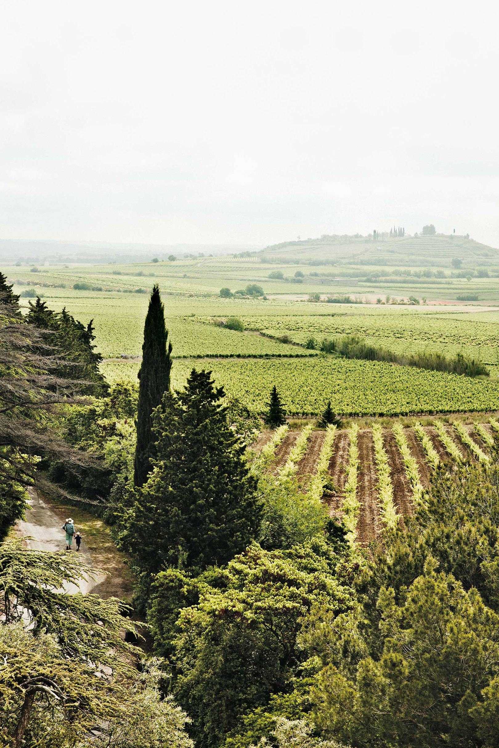 Where to find the best natural wine in France CN Traveller