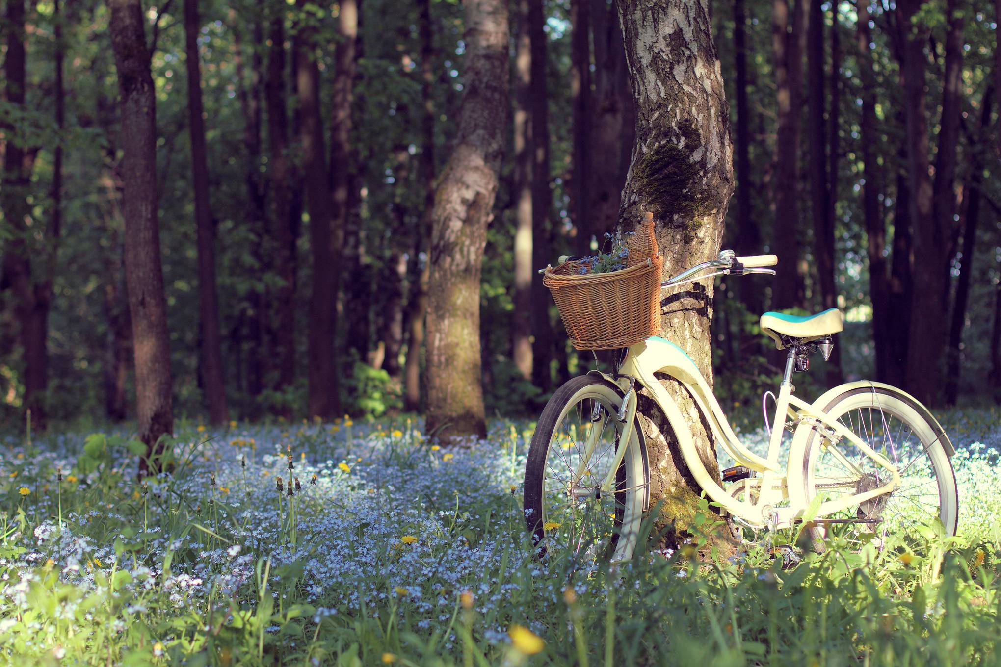 mountain bike trails near london