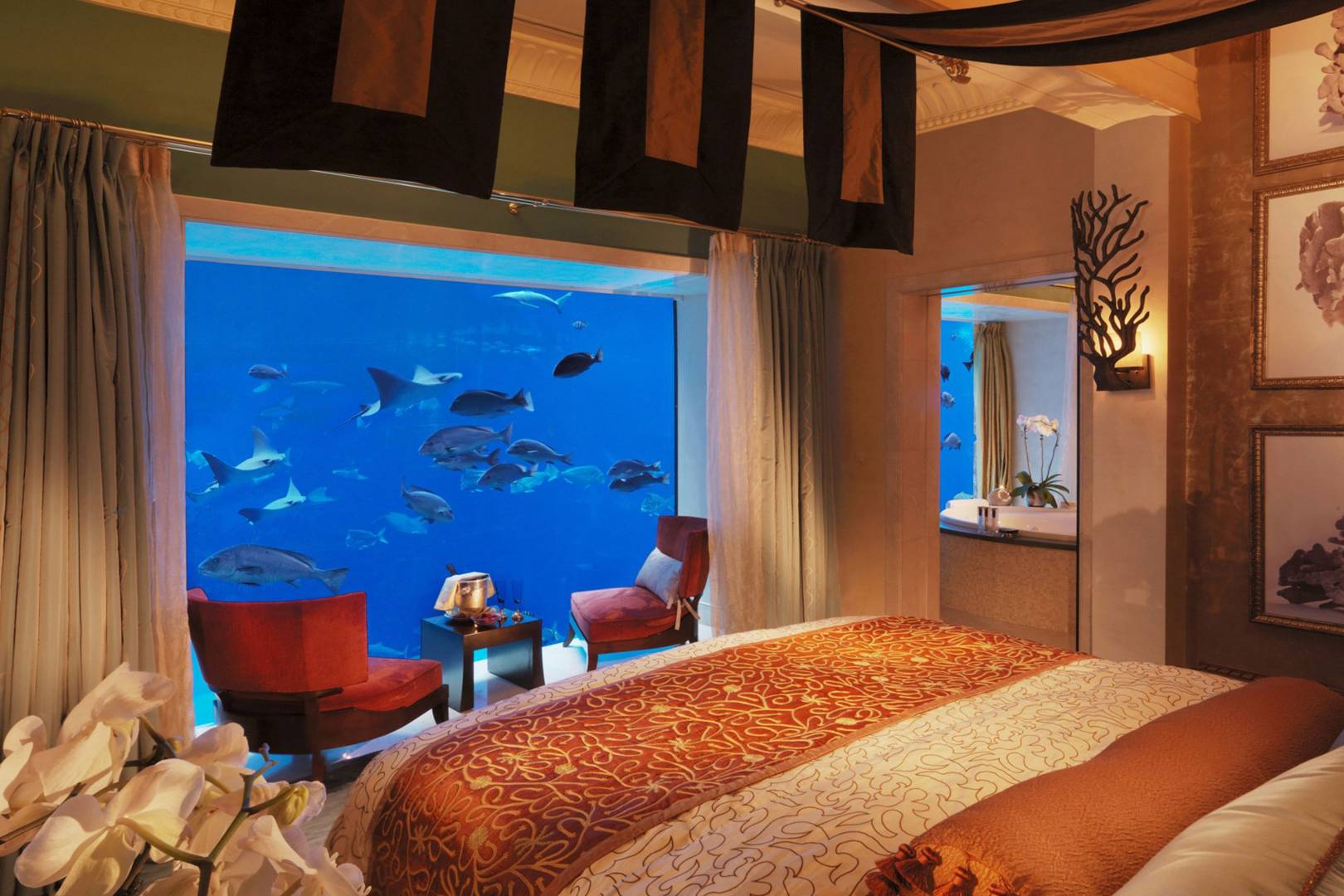 underwater hotel california price underwater hotel california price