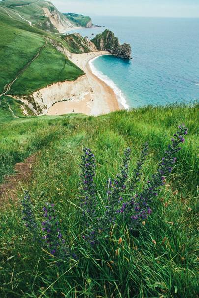 Qué hacer en Dorset, un rincón inexplorado del campo del Reino Unido Qué hacer en Dorset, un rincón inexplorado del campo del Reino Unido