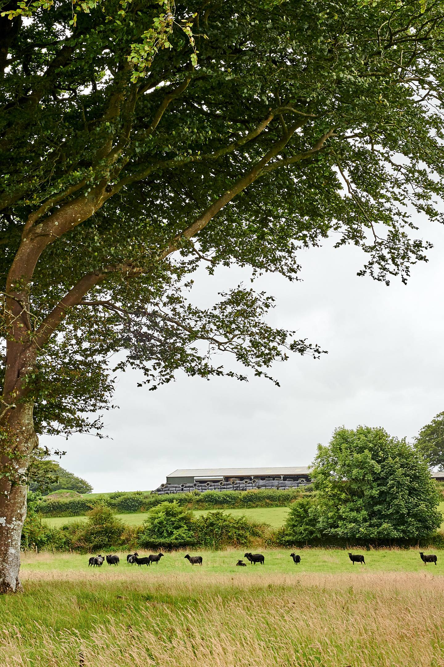 Coombeshead Farm, Cornwall | CN Traveller