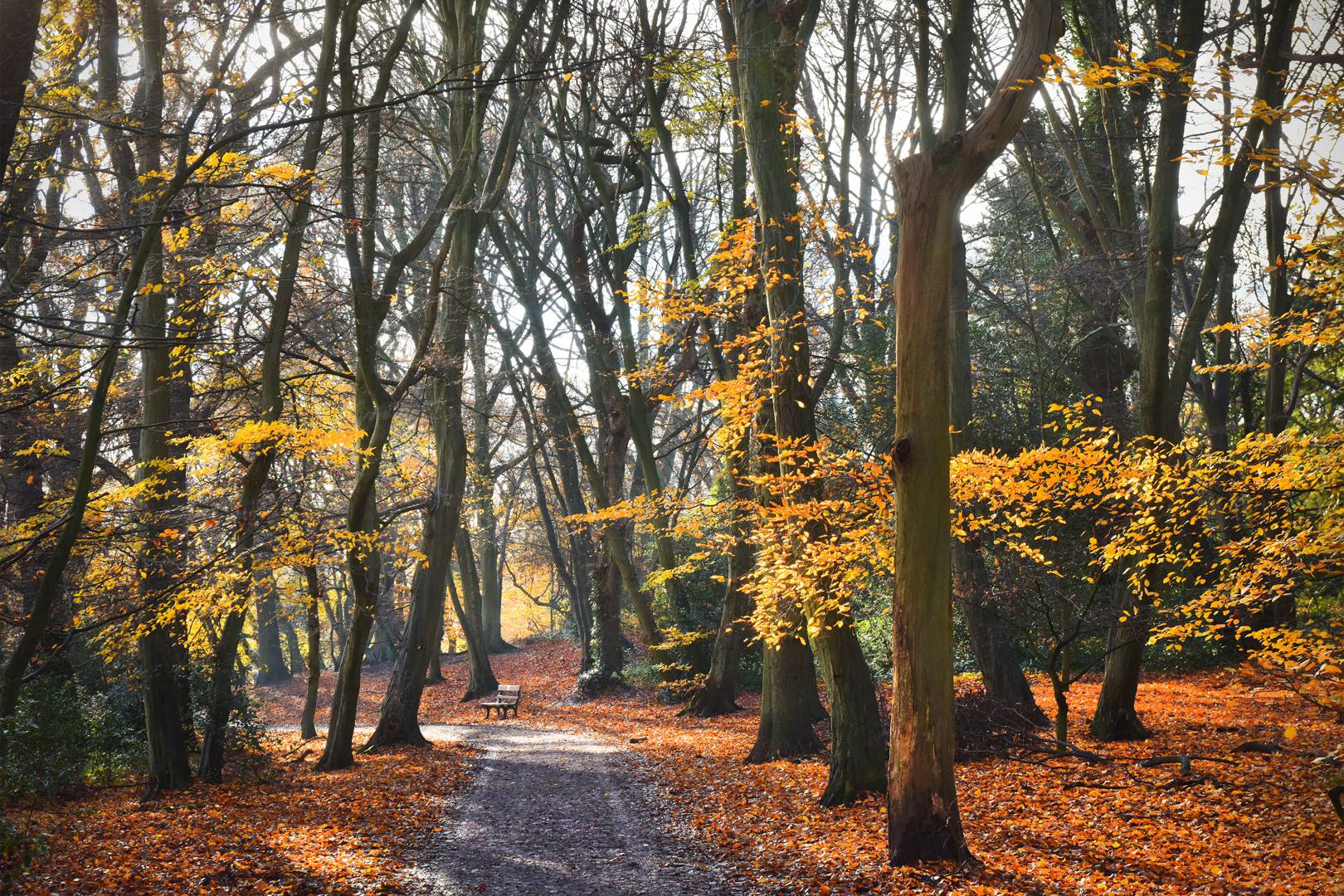 The best places to see Autumn leaves in the UK | CN Traveller