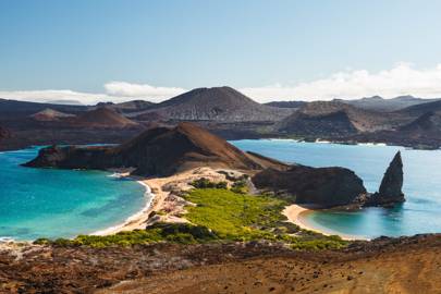 16. THE GALAPAGOS ISLANDS