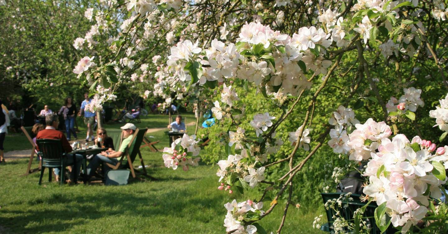 Best tea rooms in England | CN Traveller