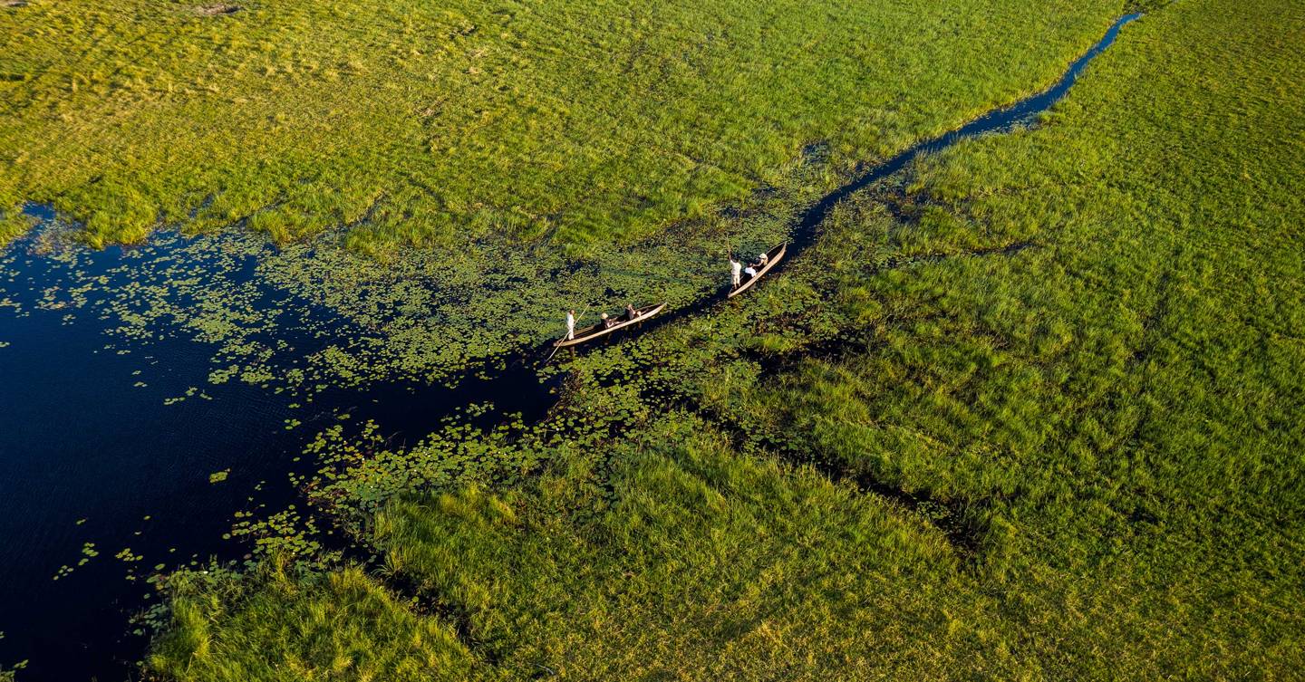 Xigera Safari Lodge, Botswana hotel review - Vimarsana News