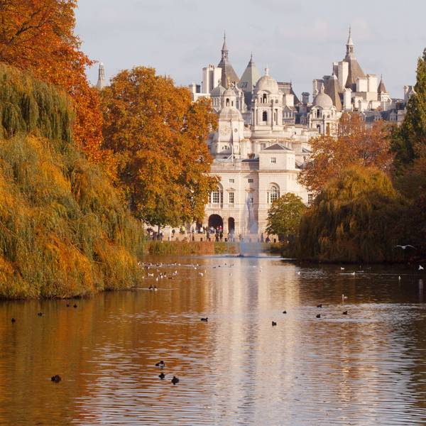 Things to do in London to make you happy and calm | CN Traveller