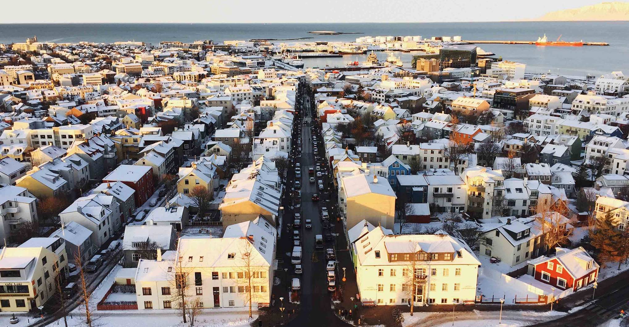 The best shops in Reykjavik