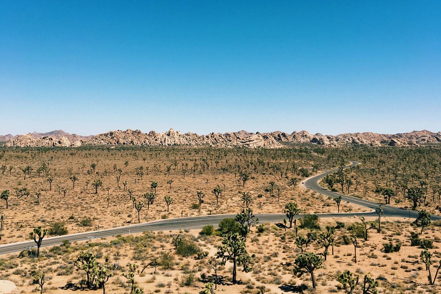 Joshua Tree National Park, California the ultimate guide CN Traveller