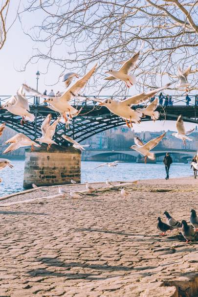 The Pont des Arts over the Seine