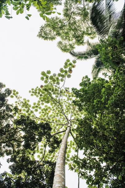 Alejandro-de-Humboldt-National-Park-cuba