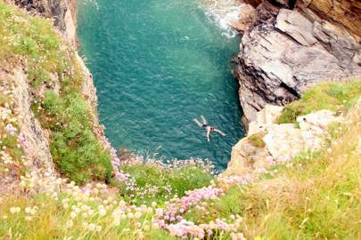 Cliff Jumping In Port Gaverne Cornwall Cliff Jumping In Port Gaverne Cornwall