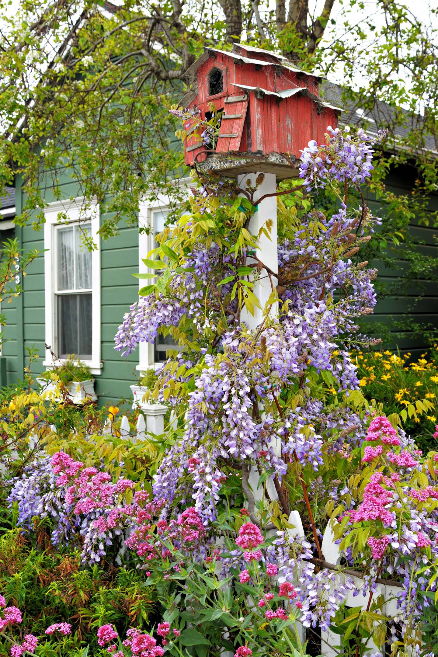 Garden birdwatching: how to see birds from your home | CN Traveller