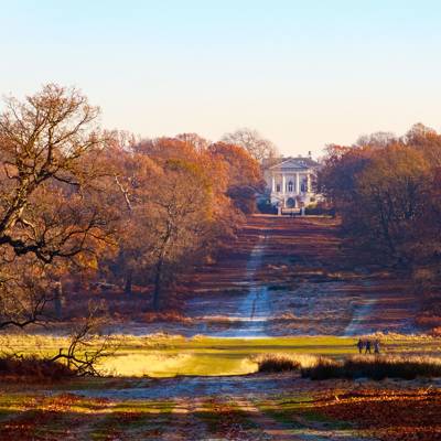 The Best Places To See Autumn Leaves In The UK | CN Traveller