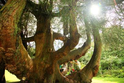 The Wild Guide Devon Cornwall And South West Of England The Wild Guide Devon Cornwall And South West Of England