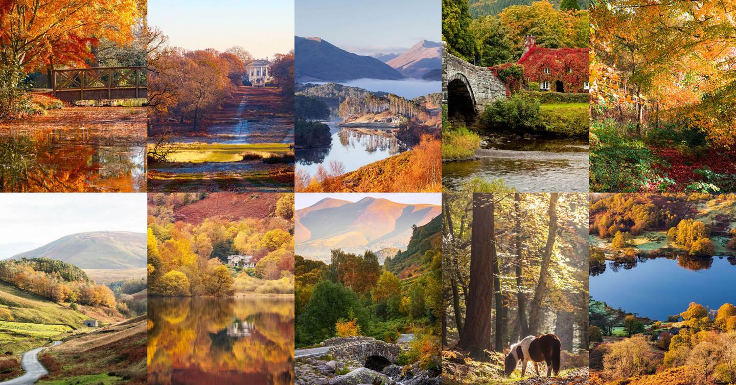 The best places to see Autumn leaves in the UK CN Traveller