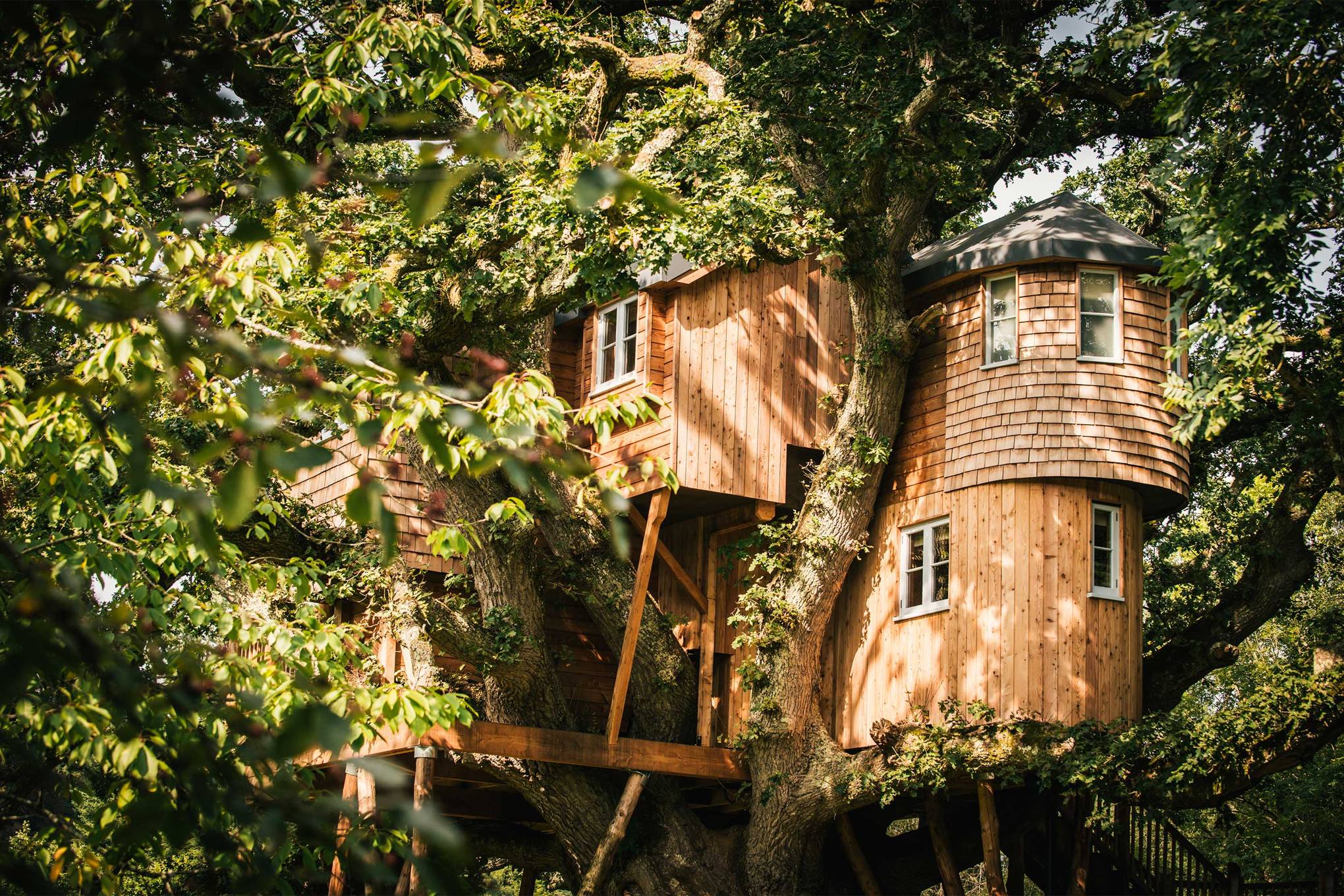 Treehouse holidays in the UK the coolest treehouse Airbnbs CN Traveller