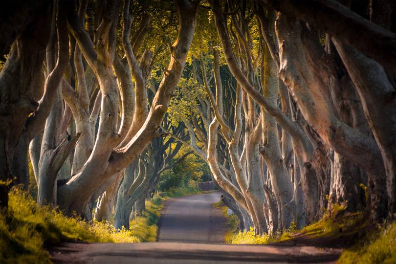 8 Northern Ireland road trip ideas for exploring the sights - Vimarsana News