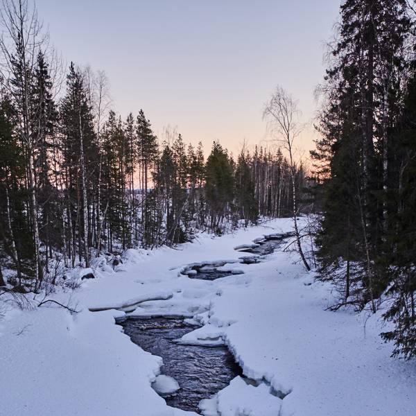 Swedish Lapland | The ultimate guide | CN Traveller