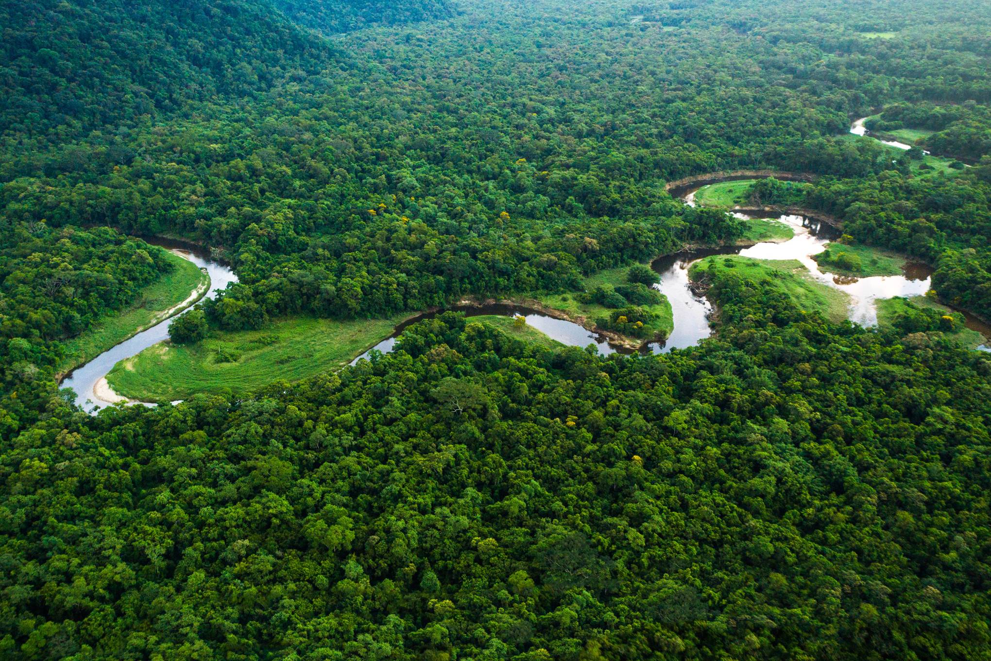 Visiting Brazil S Amazon Rainforest Cn Traveller