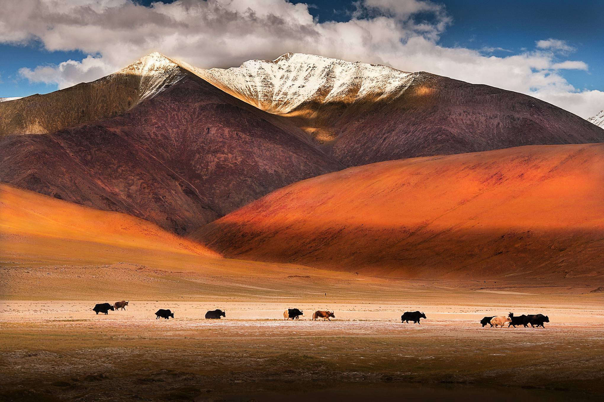 6-of-the-best-trips-to-take-alone-cn-traveller