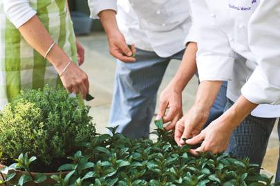 Gardening Classes Yorkshire