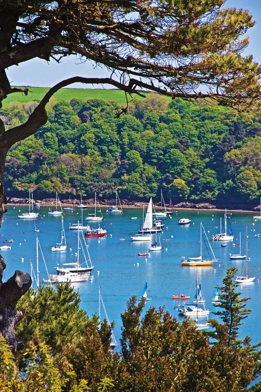 St Mawes Cornwall Cn Traveller