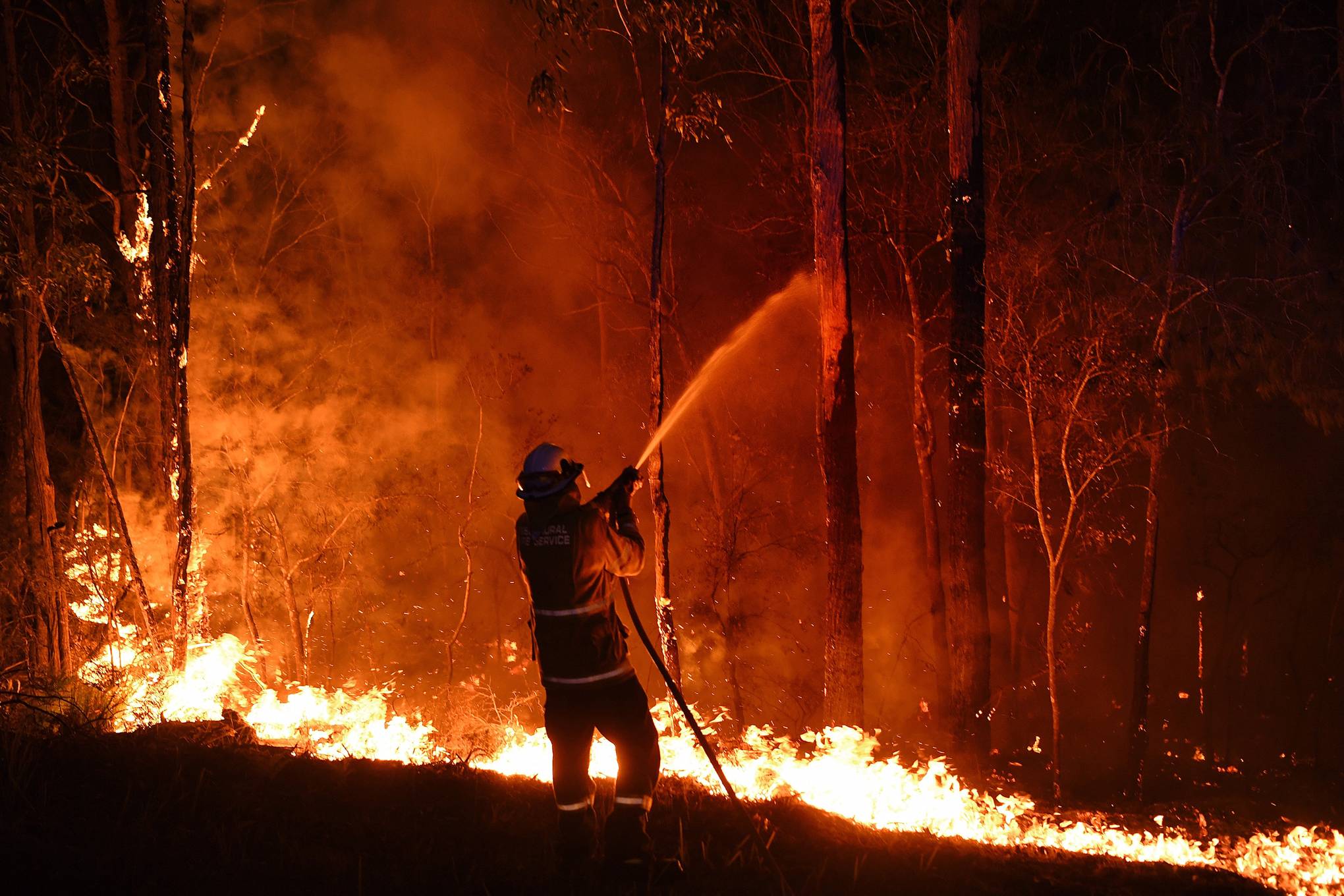 Australia Fires How You Can Help And Where To Donate Cn Traveller