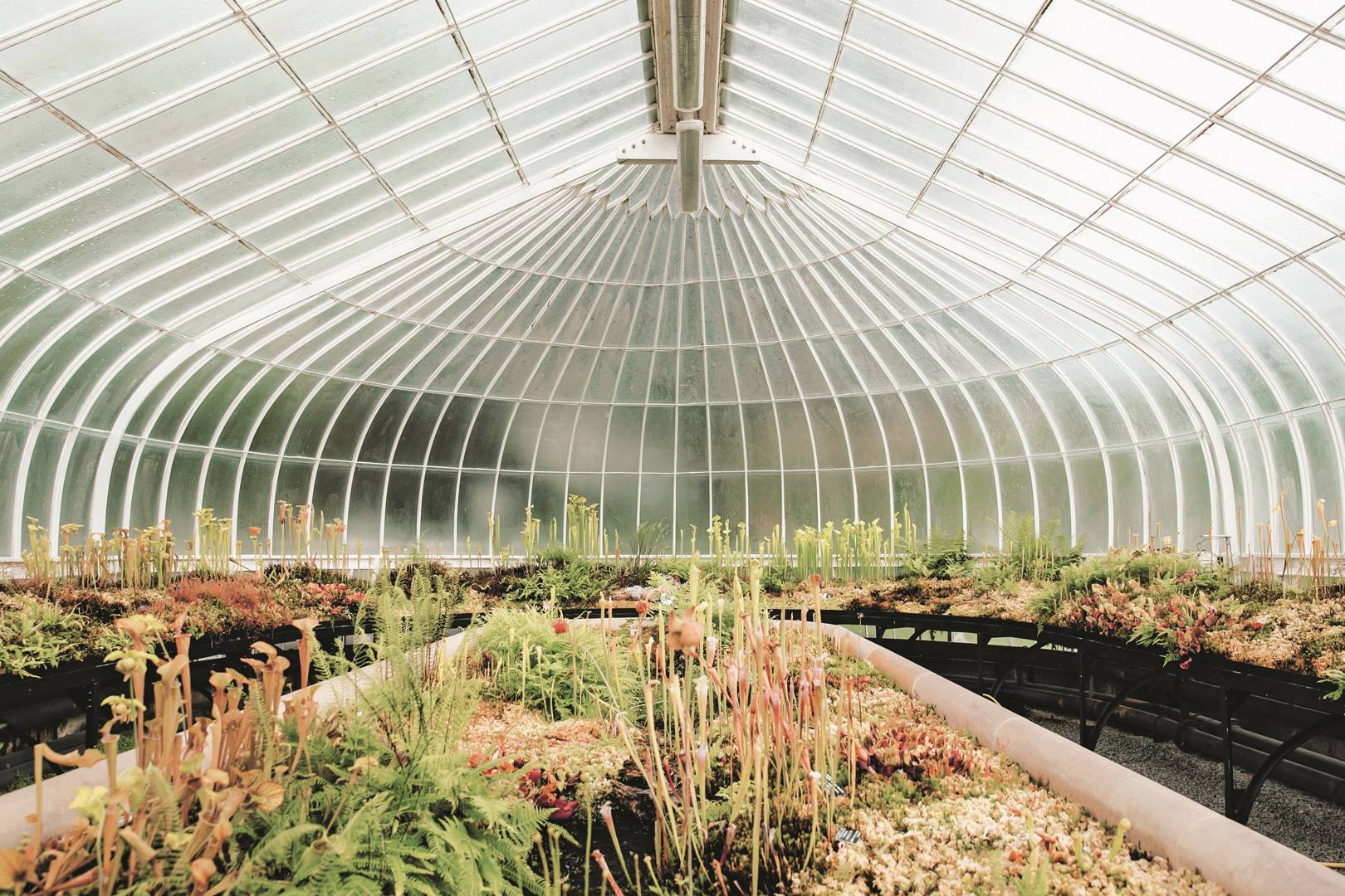 The Most Beautiful Greenhouses In The World | CN Traveller