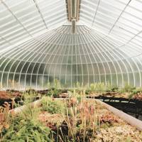 The most beautiful greenhouses in the world - CN Traveller