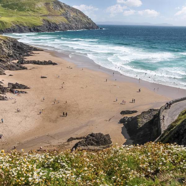 is whatsapp down in ireland is whatsapp down in ireland
