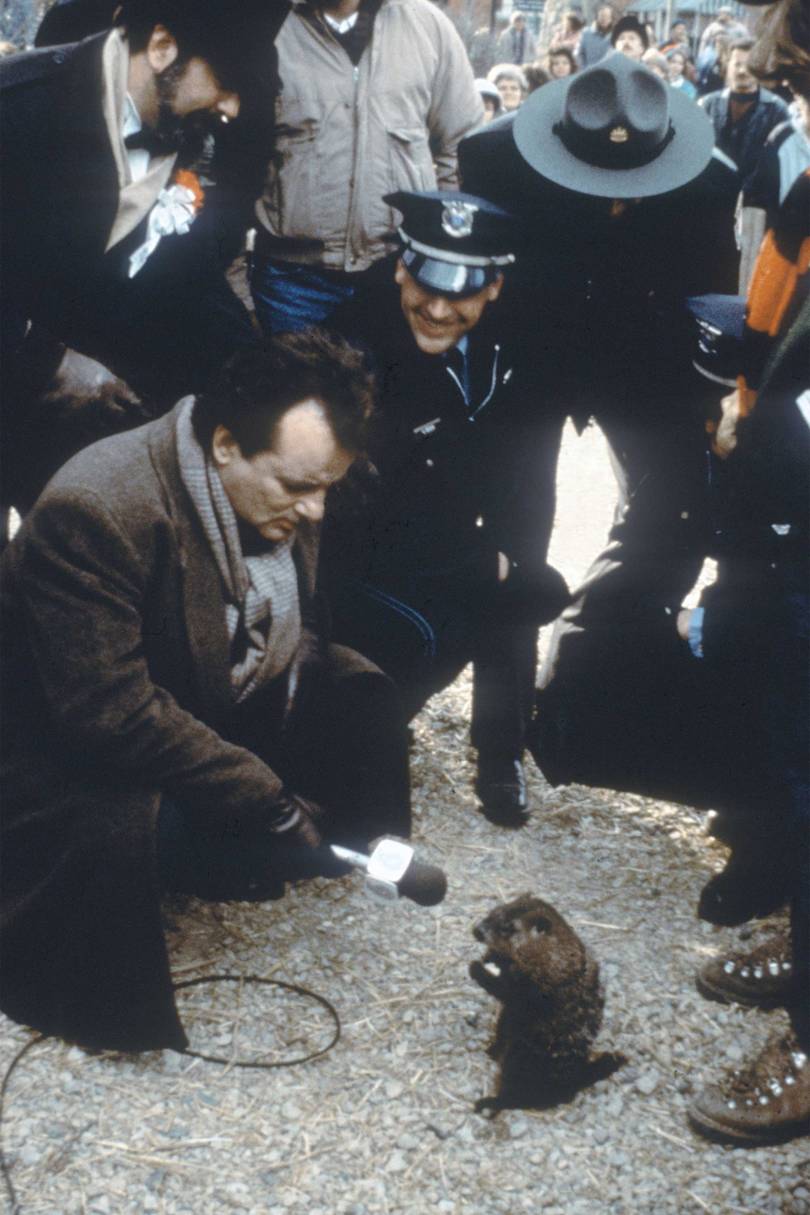 how many times does phil connors relive groundhog day