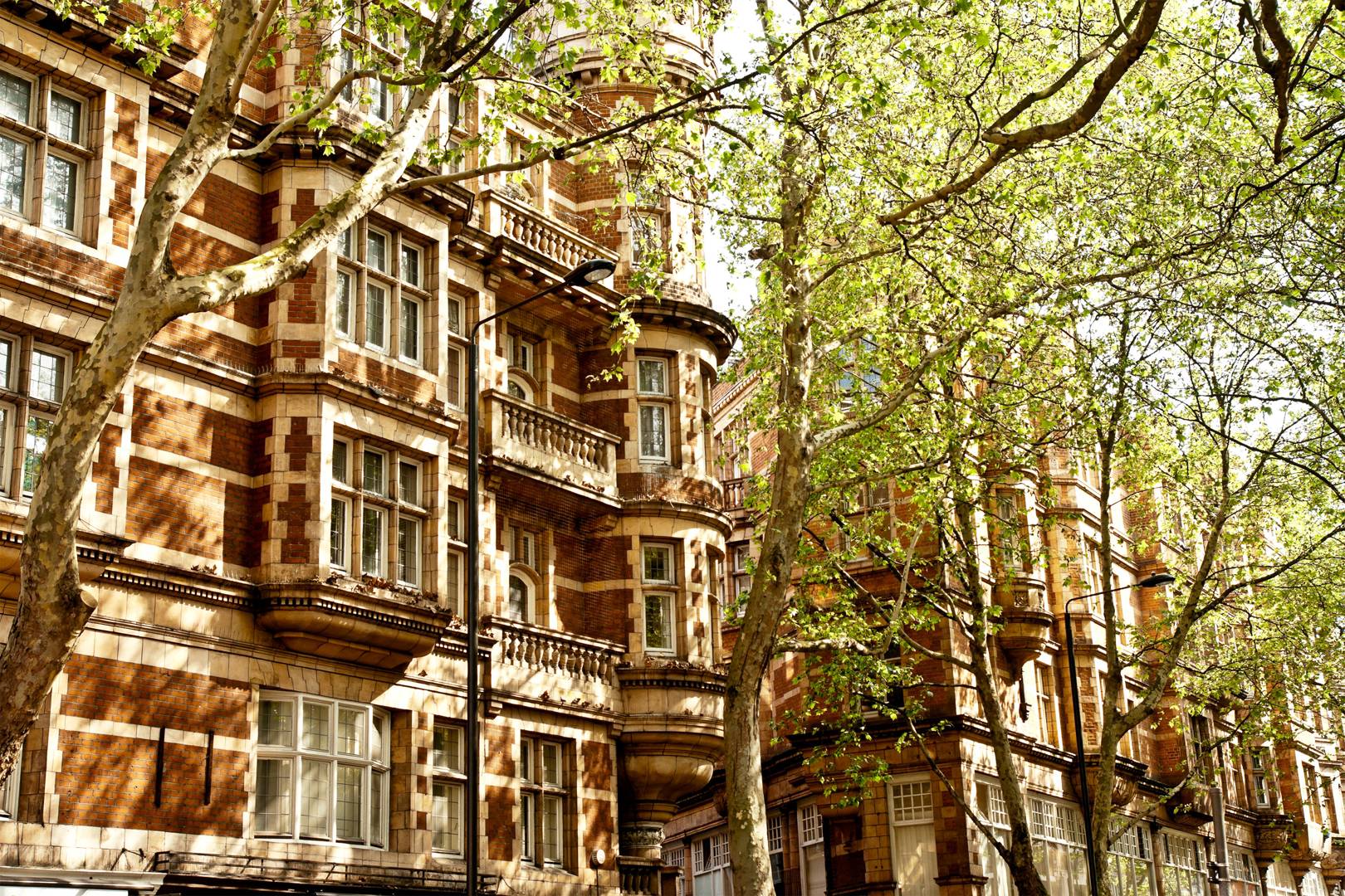 The insider neighbourhood guide to Bloomsbury, London CN Traveller
