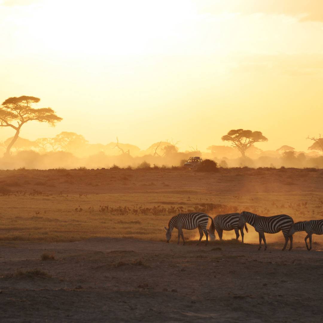 Condé Nast Traveller