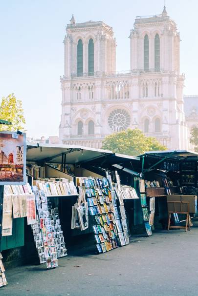 Notre-Dame and Left Bank bookstalls