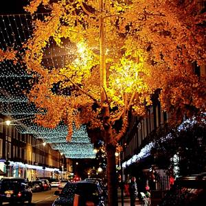 The best Christmas lights in London 2020 | CN Traveller