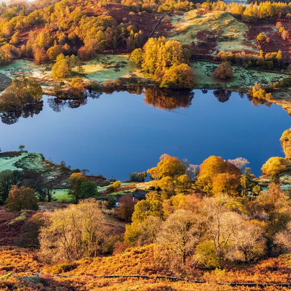 The best places to see Autumn leaves in the UK | CN Traveller