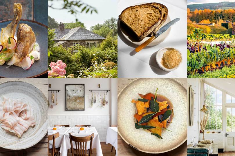 Zero-waste meat and the places that do it best - Vimarsana News